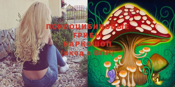 синтетический гашиш Ельня