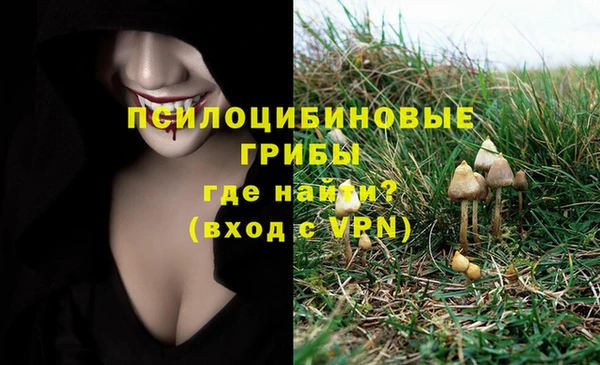синтетический гашиш Ельня