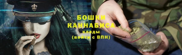сатива Елизово