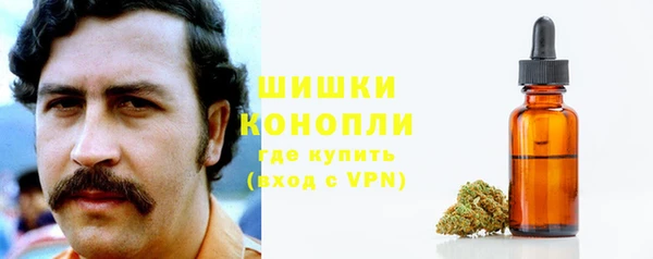 прущая мука Елабуга