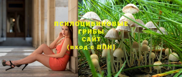 синтетический гашиш Ельня