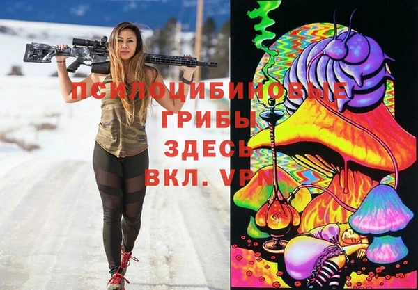 синтетический гашиш Ельня