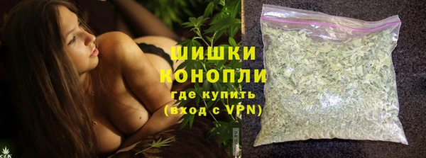сатива Елизово