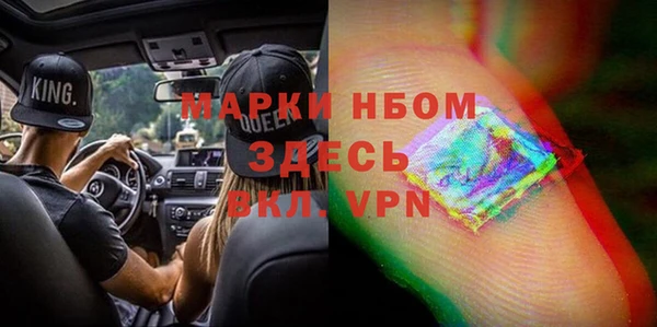 сатива Елизово