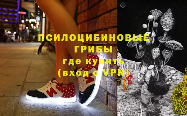 mdpv Заводоуковск