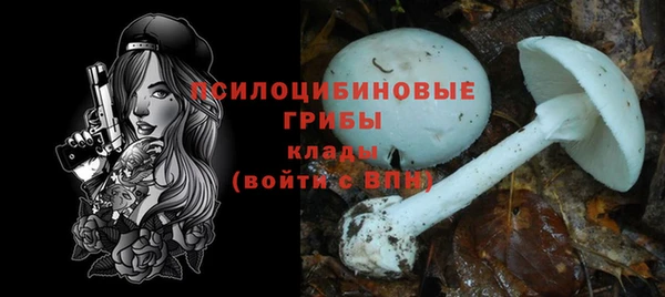 сатива Елизово